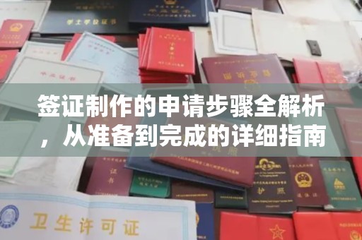 渑池签证制作的申请步骤全解析，从准备到完成的详细指南